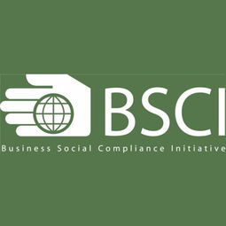 深圳九域企業管理 一站式EICC驗廠咨詢輔導，助力企業合規與卓越